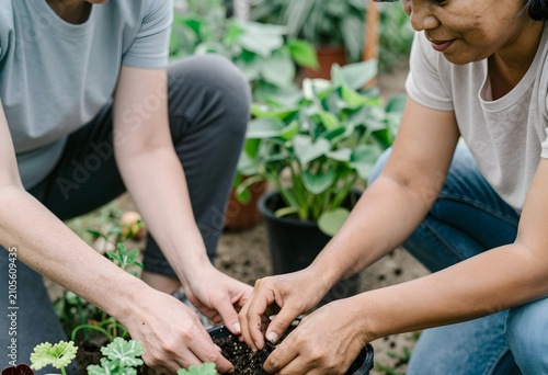 Two women planting small gr...