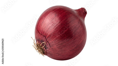 Fresh red onion bulb with dry skin and roots healthy vegetable food isolated on transparent background png.