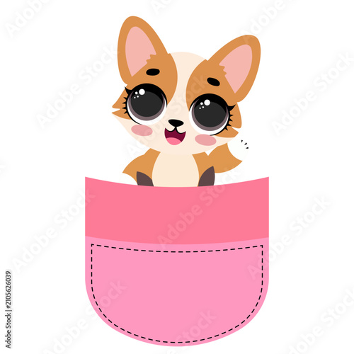 Cute corgi dog sitting inside a pink pocket illustration isolated on white background lovely puppy character print design for kids nursery t-shirts stickers and cards
