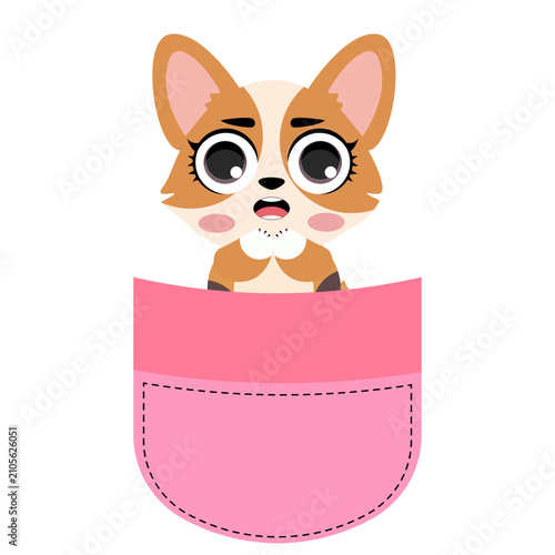 Cute corgi dog sitting inside a pink pocket illustration isolated on white background lovely puppy character print design for kids nursery t-shirts stickers and cards