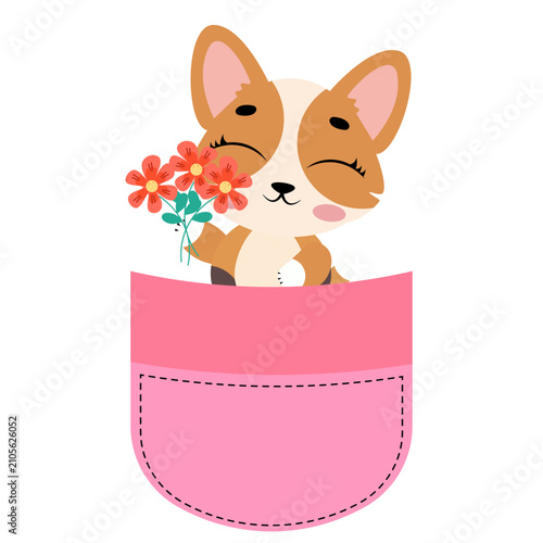 Cute corgi dog sitting inside a pink pocket illustration isolated on white background lovely puppy character print design for kids nursery t-shirts stickers and cards