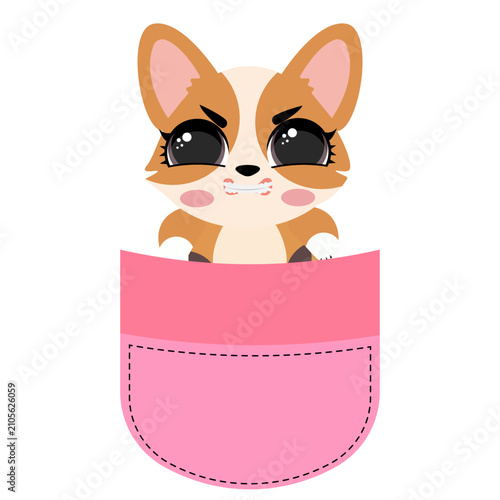 Cute corgi dog sitting inside a pink pocket illustration isolated on white background lovely puppy character print design for kids nursery t-shirts stickers and cards