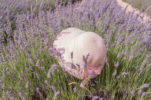 An elegant rustic straw sun hat rests among blooming lavender plants in a fragrant summer field. Outdoor recreation, travel, rural life. Summer hats. Ecotourism in Provence. natural clothing. Harvest