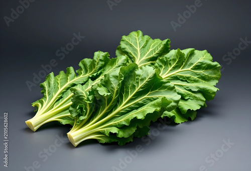 Fresh green chard leaves wi...