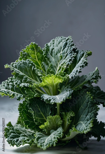 Fresh green kale plant with...