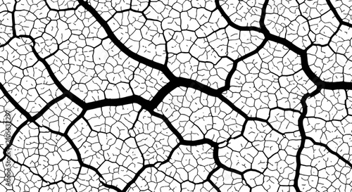 Canvastavla Intricate black and white pattern of cracks resembling dried earth or shattered glass