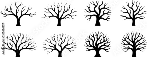 Bild auf Leinwand Stylized leafless tree vector silhouette collection featuring diverse branching