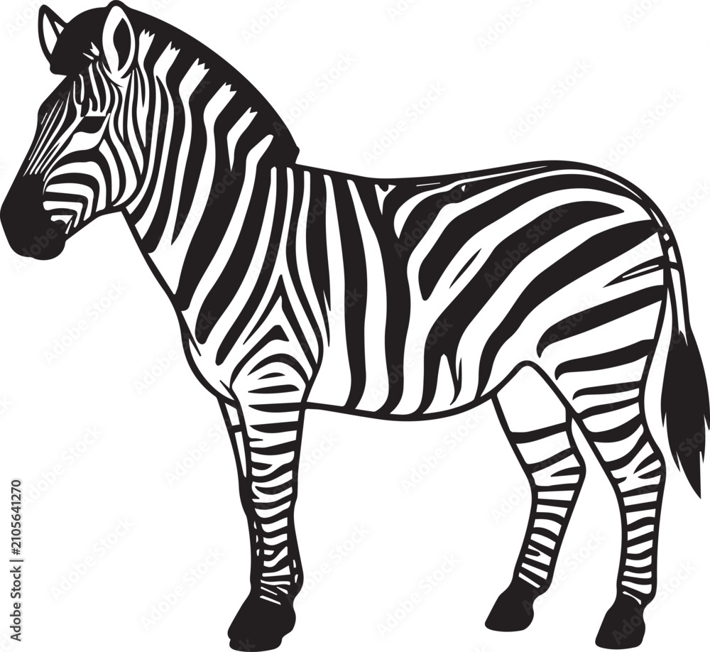Obraz premium A striking illustration of a zebra standing proudly, showcasing its iconic black and white stripes in a clean, graphic style.