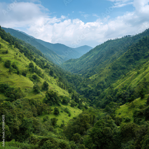 Lush green mountain valley with misty hills isolated on transparent background