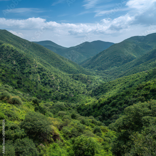 Lush green mountain forest under blue sky isolated on transparent background