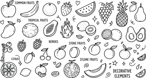 Cuadro en lienzo Fruit Doodle Icons Set Hand Drawn Vector Illustration.