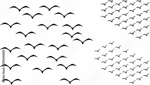 Obraz na płótnie Multiple Black Bird Silhouettes Against A White Background