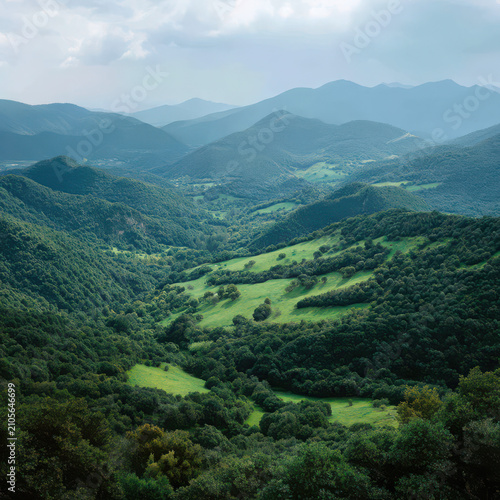 Lush green mountain valley with misty hills isolated on transparent background