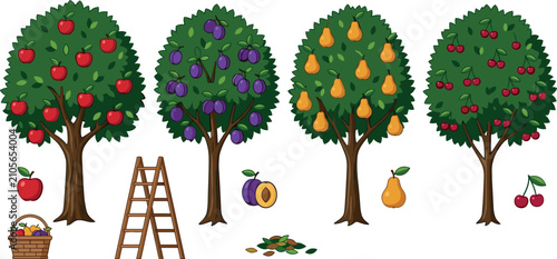 Bild auf Leinwand Fruit Trees Collection Vector Illustration Featuring Apple, Plum, Pear and Cherr