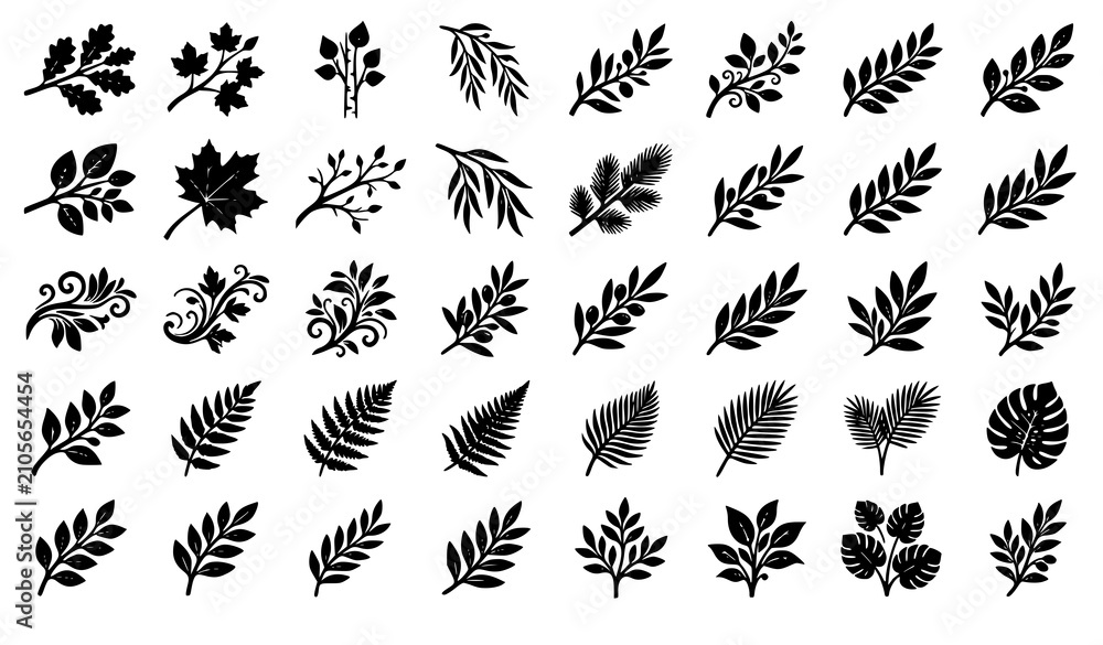 Fototapeta premium Black Botanical Branch and Leaves Vector Collection with Natural Decorative Foliage Elements