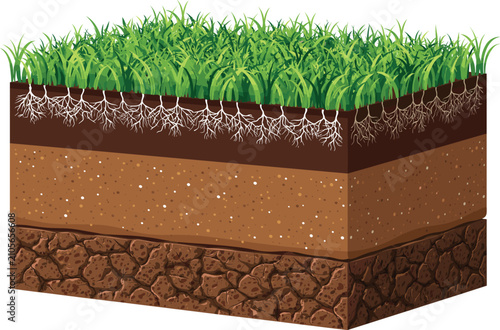 Photos Grass Turf Soil Layers Cross Section with Root System and Underground Earth Prof