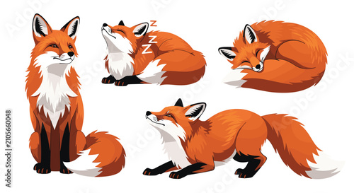 Φωτογραφία Collection of Five Illustrations of Foxes in Various Poses and Expressions