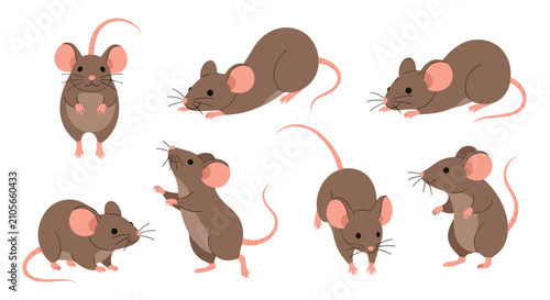 Tableau sur toile Collection of Cute Mice in Various Poses and Angles for Illustration and Design