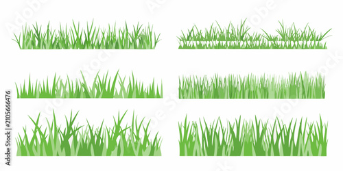 Vászonkép Green Grass Blades Arrangement Vector Illustration On White Background