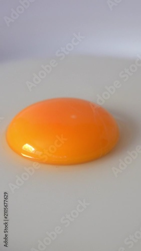 a broken raw egg with the yolk intact. vertical video