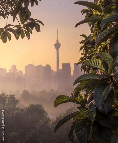Kuala Lumpur skyline with KL Tower at sunrise through tropical rainforest foliage