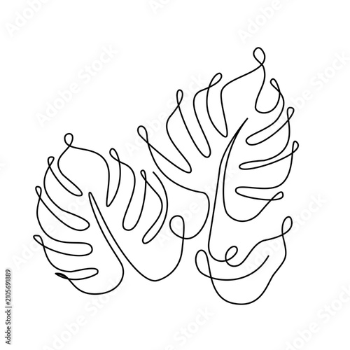 monstera line art