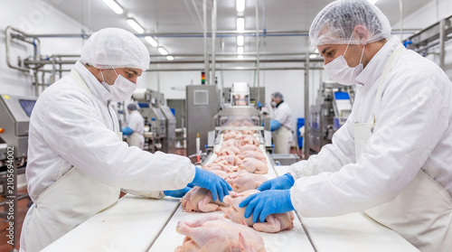 Two workers in white coats and gloves process chicken parts on a conveyor belt. They work in a busy meat processing facility during daytime hours
