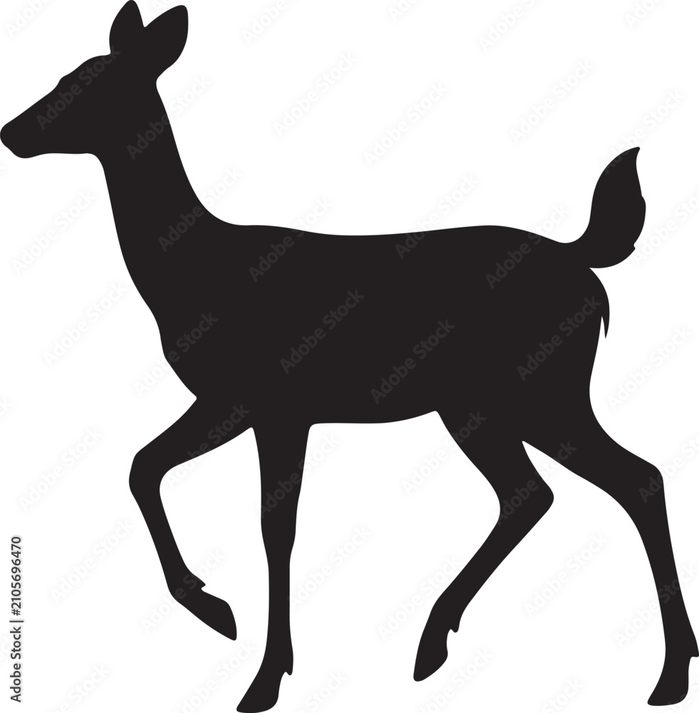 Fototapeta premium Young Deer Walking Side Profile 