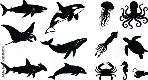 Photography Sea animals silhouette vector icon set, marine life collection on white backgrou