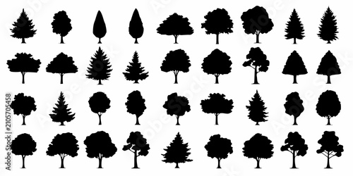 Fotografía Black Silhouettes Of Various Tree Types Against A White Background Botanical Col