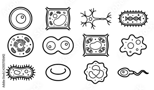 Fotografía Generic microscopic cells vector icon set with simple bold line art classic comp
