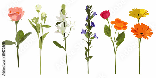 Foto Colorful flower stem collection a vector illustration with varied blossom types