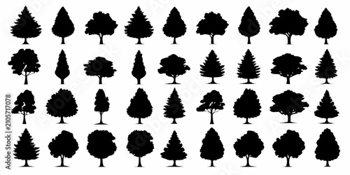 Black silhouettes of diverse tree types against a white background botanical collection arboricultural