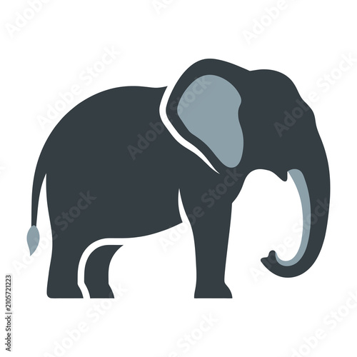 Dark grey elephant standing profile view
