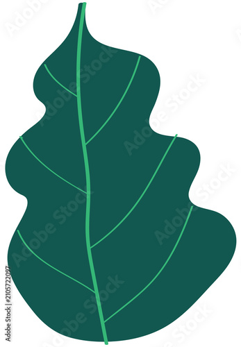 doodle nature tree indoor