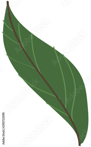 doodle nature tree indoor