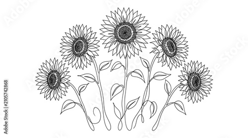 Detailed black and white vector illustration featuring a group of blooming sunflowers with long stems and artistic botanical leaves design