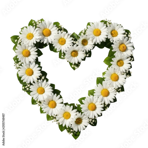 A beautiful heart shaped wreath arrangement composed of white daisy flowers and green leaves isolated on transparent background