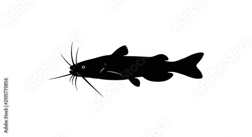 Billede på lærred Black catfish silhouette with whisker like barbels with plain white background c