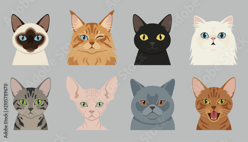 Collection of flat design illustrations showing different cat breed faces