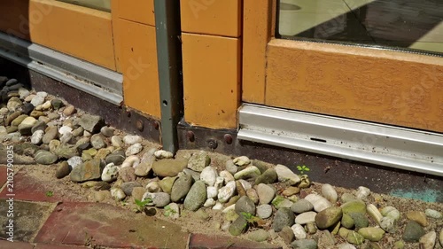 
Ameisen und fliegende Ameisen am Haus mit Natron umweltfreundlich bekämpfen
