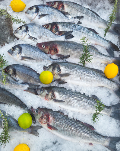 Картината върху платно Fresh sea fish on ice with lemons at seafood market, healthy food background