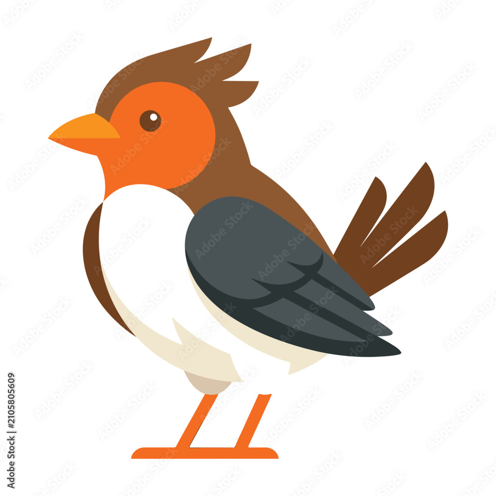 Obraz premium Brown and orange bird with white belly standing on one leg profile view