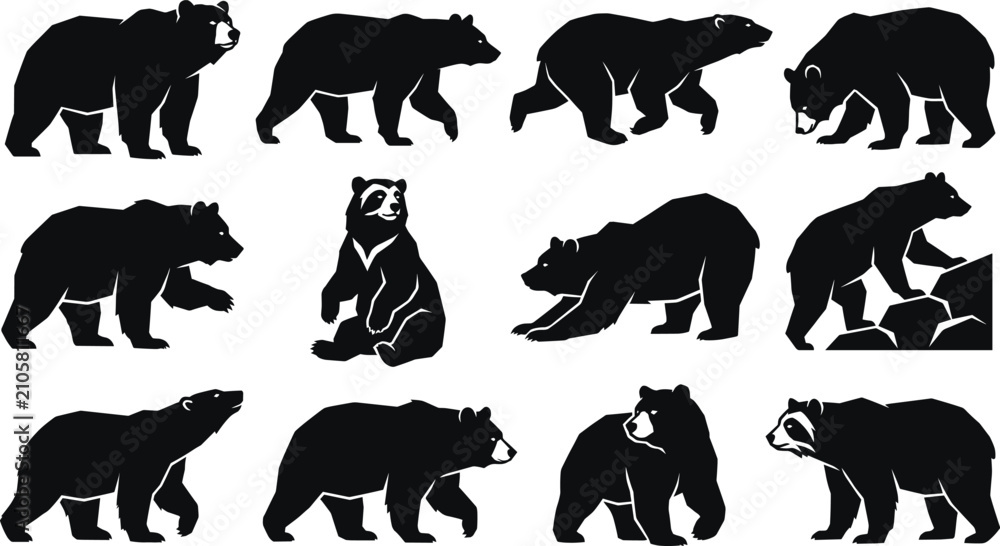 Obraz premium Bear Silhouette Icon Set Collection with Walking Standing Sitting and Wildlife Vector Poses
