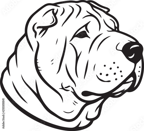 Konstfotografi SHAR PEI DOG HEAD SILHOUETTE