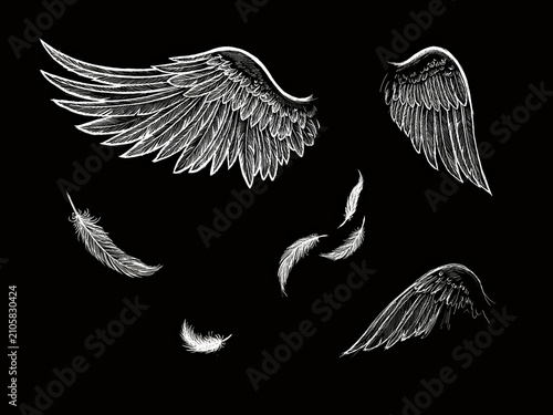  A collection of monochrome, hand-drawn vector illustrations depicting stylized wings and floating feathers against a solid black background.