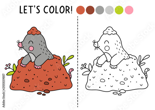 Forest coloring page for children with mole digging ground. Vector wild character outline illustration. Color book with colored example. Drawing skills printable worksheet with woodland animal