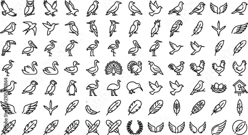Quadro su tela Eco zoology vector compilation featuring decorative wing feathers heraldic laure