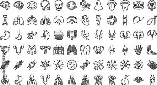 Cuadro en lienzo Healthcare graphics collection showcasing linear respiratory diagrams digestive