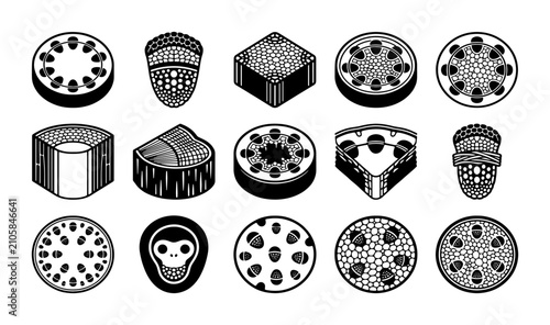Bild auf Leinwand Monochrome botanical cross section icons, set of 15 plant cell and tissue anatom